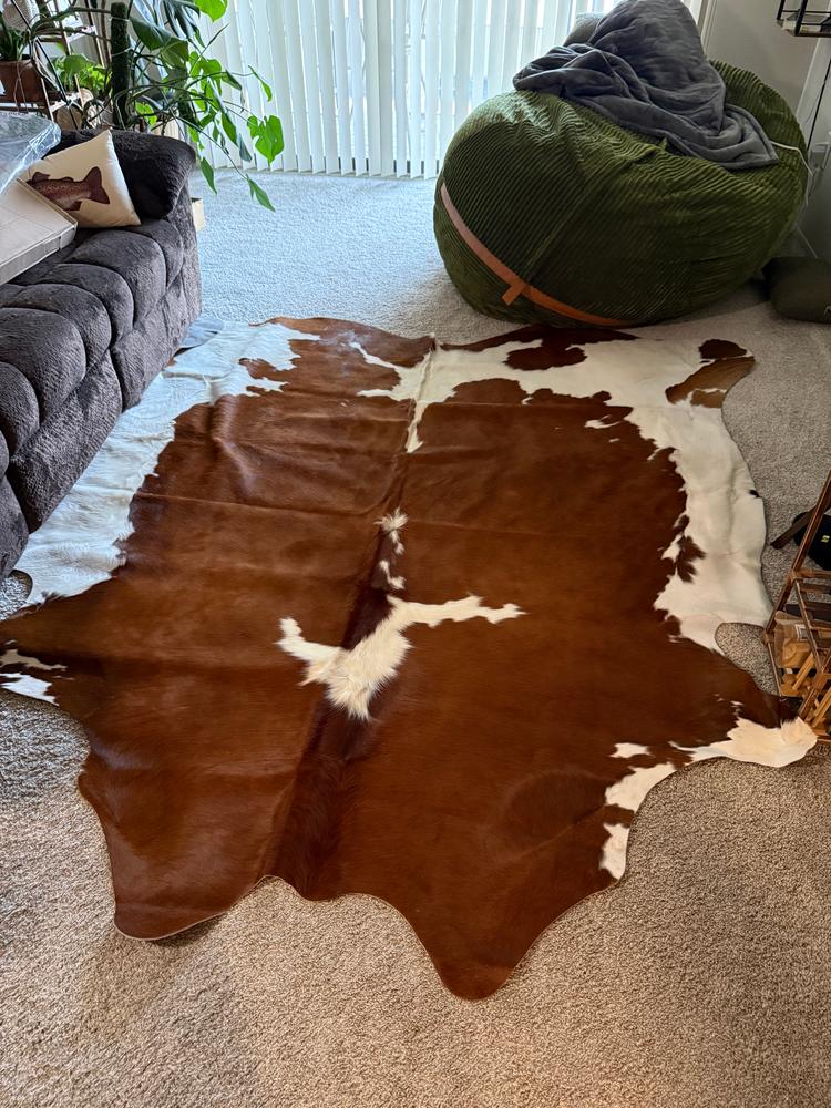 Brown and White Brazilian Cowhide Rug: XXL - Customer Photo From Ashley & Devan