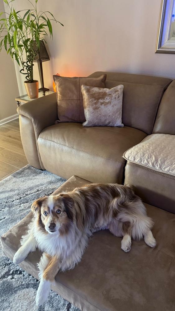 Palomino and White Cowhide Pillow - Customer Photo From LESLIE STOVER