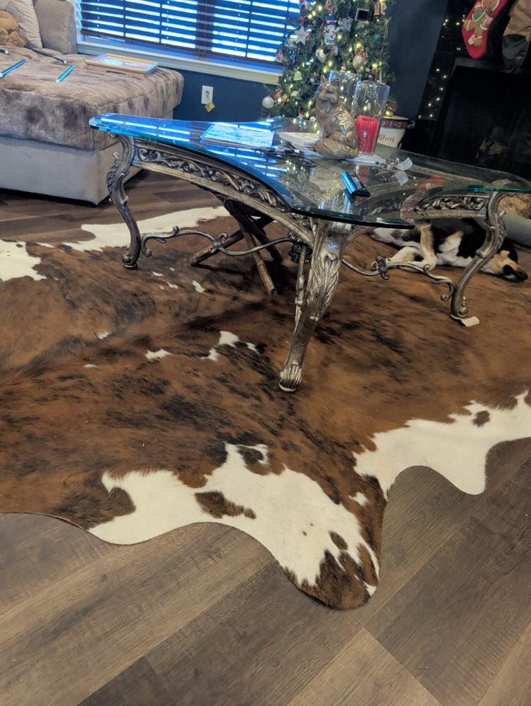Cowhide Rug Tricolor Brindle Mix - Customer Photo From Freya Parker