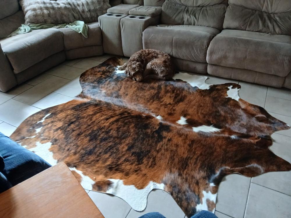 Cowhide Rug Tricolor Brindle Mix - Customer Photo From Naomi R Hartwig
