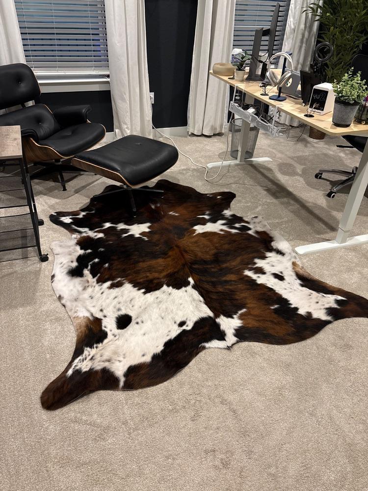 Cowhide Rug Tricolor Brindle Mix - Customer Photo From Joshua Sutherland