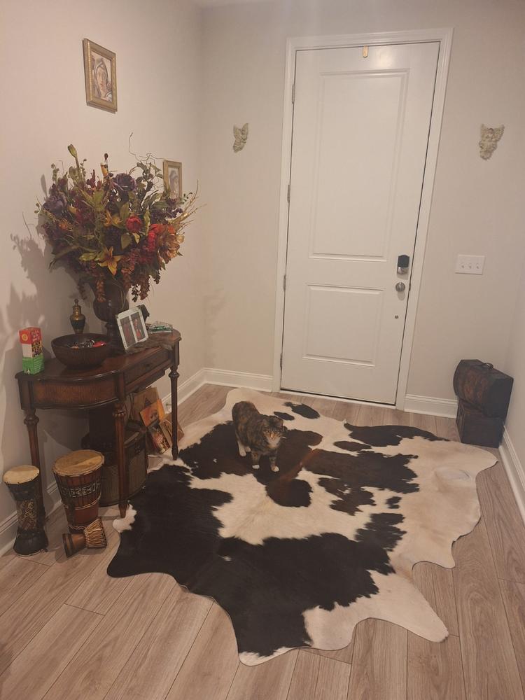 Chocolate and White Cowhide Rug - Customer Photo From Vita Smith