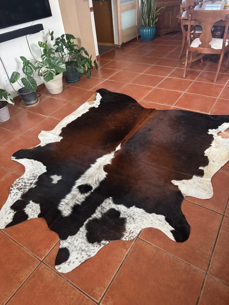 Chocolate and White Cowhide Rug - Customer Photo From Kristen Washington