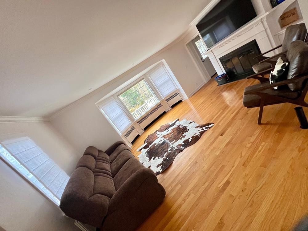 Tricolor Cowhide Pillow - Customer Photo From Genesis Kuhl