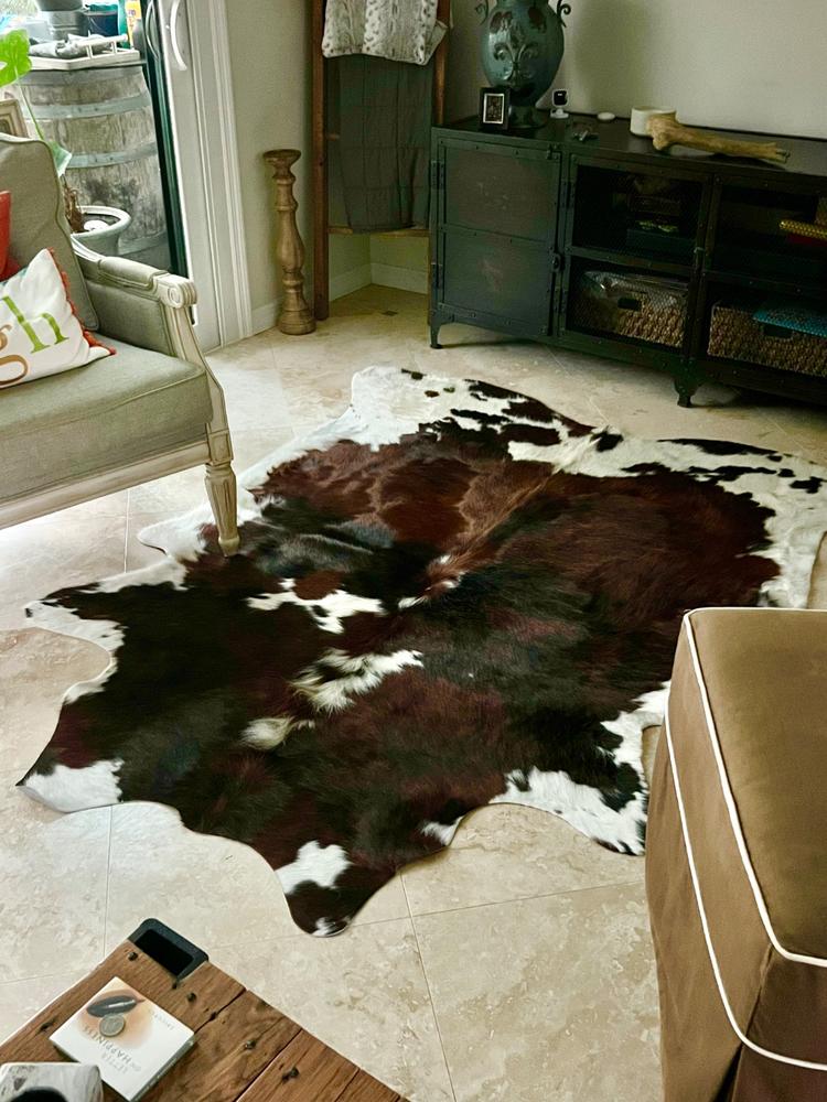 Tricolor Cowhide Pillow - Customer Photo From Douglas Belaire