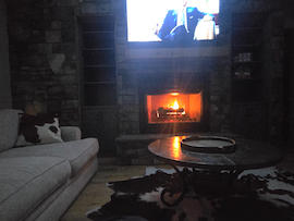 Tricolor Cowhide Pillow - Customer Photo From Cindy Hearn