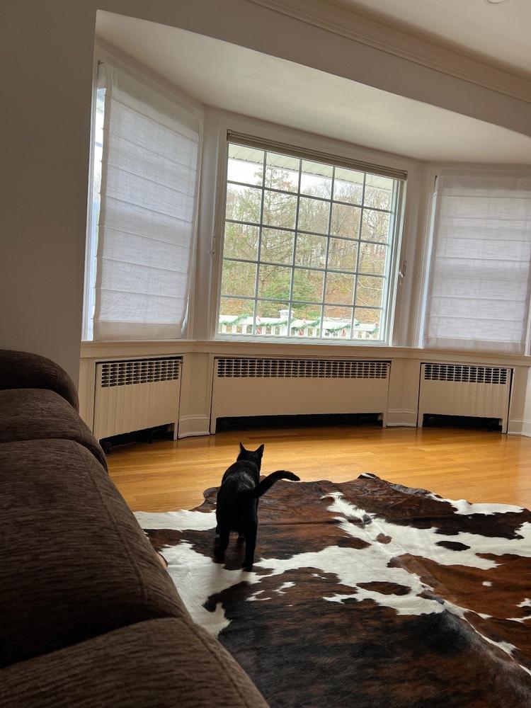 Tricolor Cowhide Pillow - Customer Photo From Genesis Kuhl