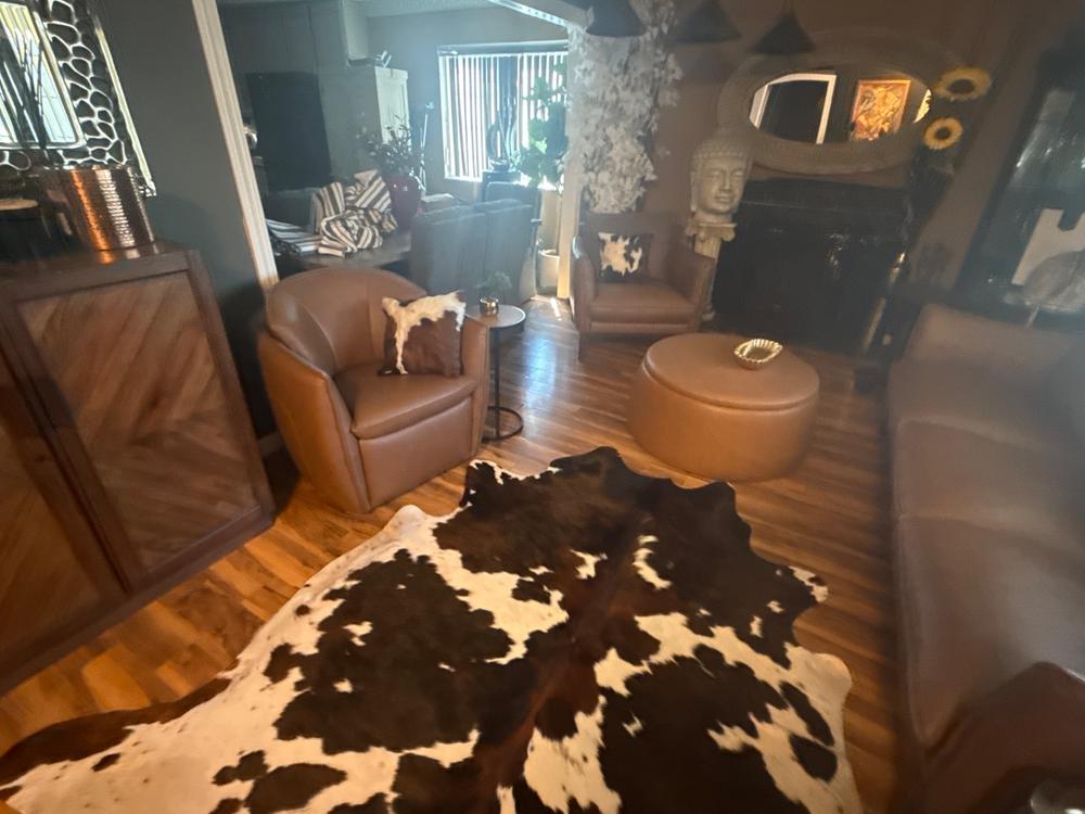 Tricolor Cowhide Pillow - Customer Photo From Tony Sanders