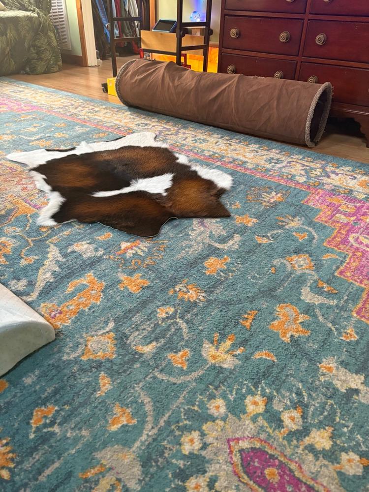 Mahogany and White Calf Hides - Customer Photo From Danny Carter