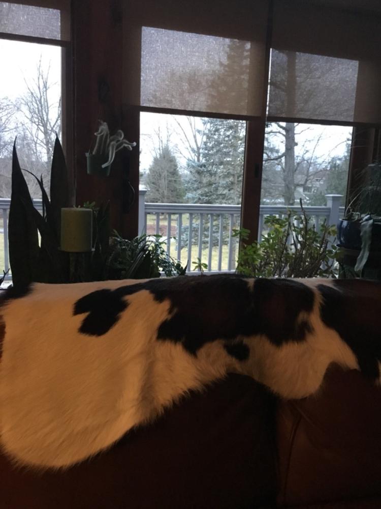 Mahogany and White Calf Hides - Customer Photo From Cheryl Sita