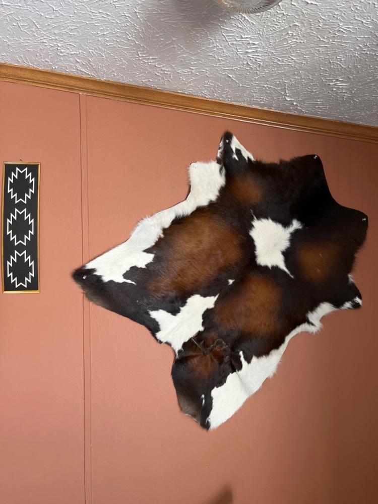 Mahogany and White Calf Hides - Customer Photo From Dusty Elmore