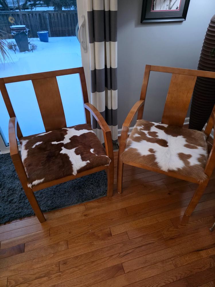 Brown and White Calf Hides - Customer Photo From Carol Kolin