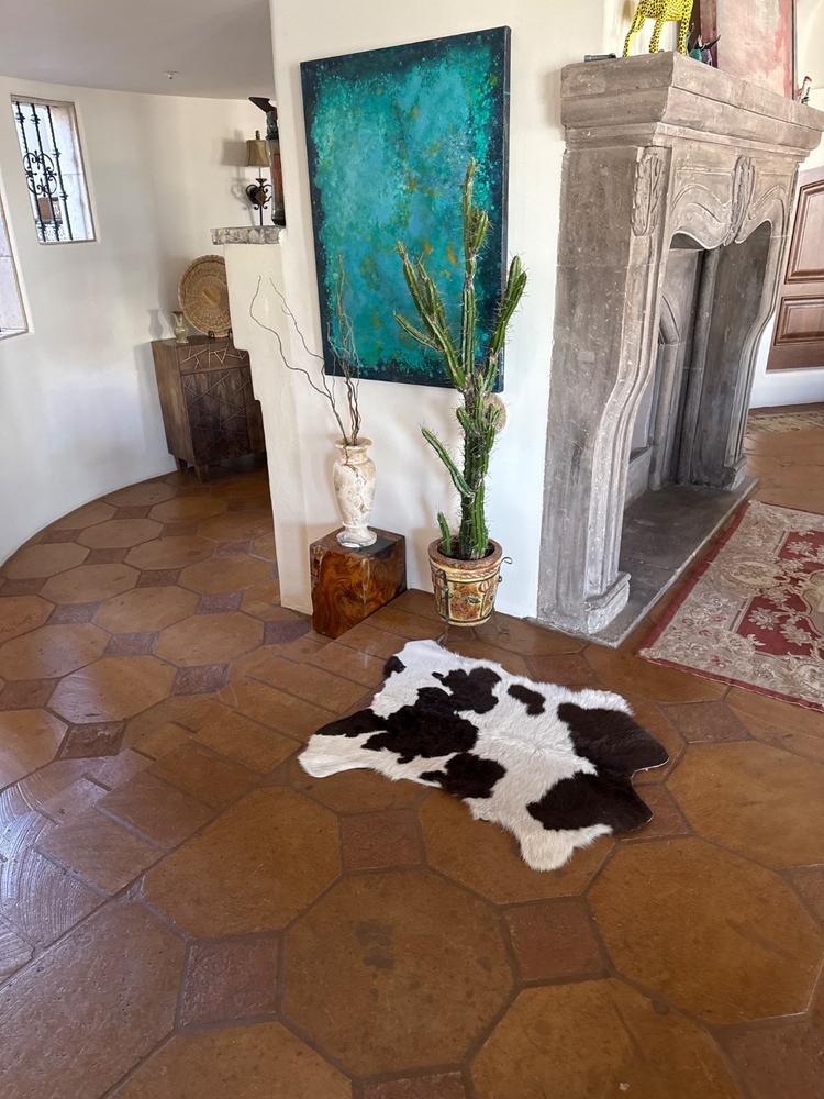 Chocolate and White Calf Hides - Customer Photo From Harold James