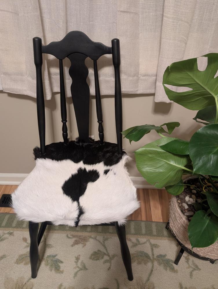 Goat Hides - Customer Photo From Mary Beth Adams