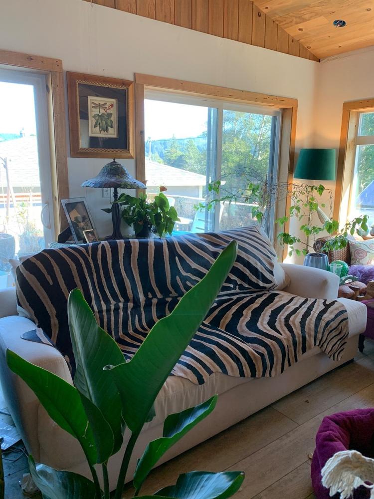 Zebra Safari Cowhide Rug - Customer Photo From Teri Gilbert