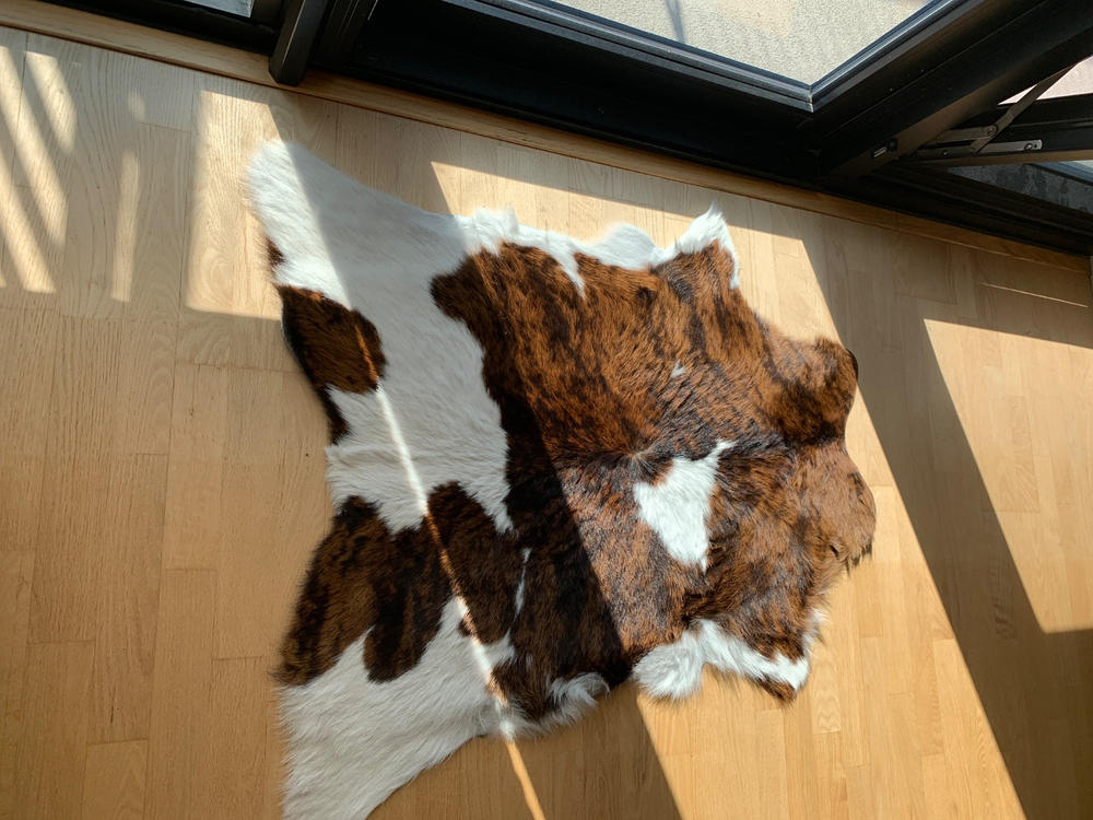 Tricolor Calf Hides - Customer Photo From Penny Harris