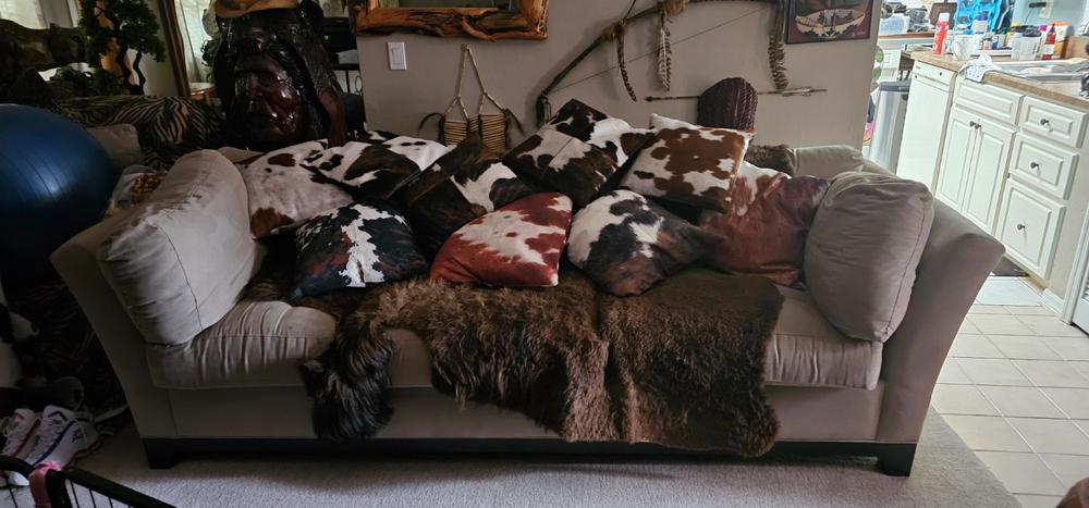 Mystery Cowhide Pillow - Customer Photo From Frederick Scott