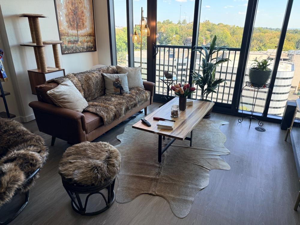 Grey Beige Cowhide Rug - Customer Photo From Meredith Monsour