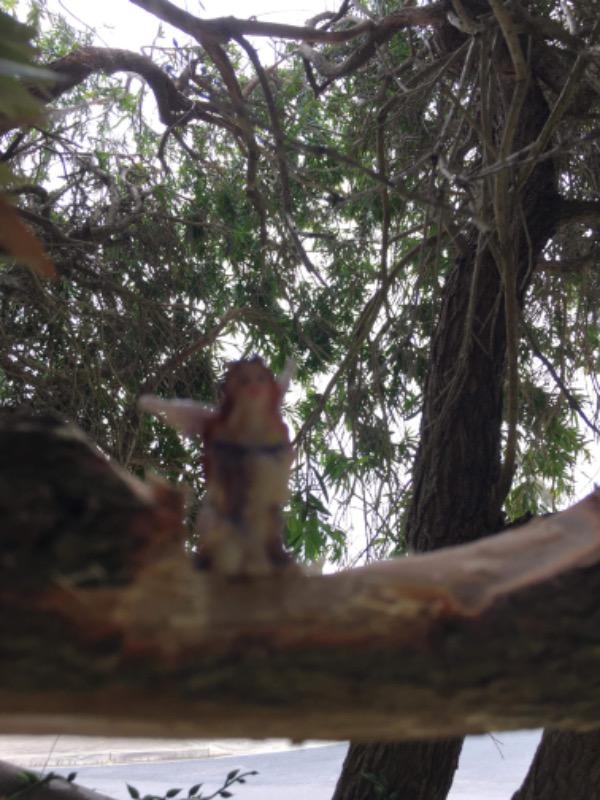 Enchanted Garden Fairy - Mini - Customer Photo From Peter Hynes 