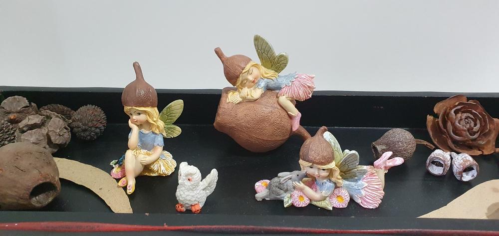 Flower Garden Gumnut Fairies - Set of 3 - Customer Photo From Anonymous