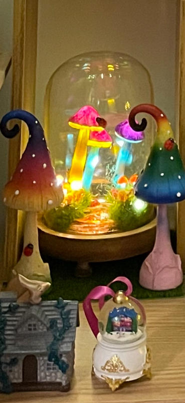 Rainbow Mushrooms - Set of 2 - Customer Photo From Sarah Bentley