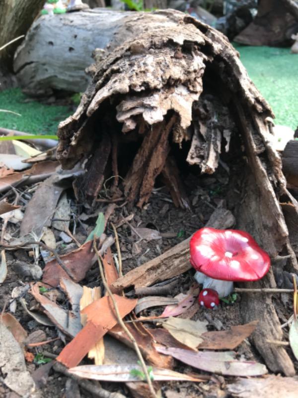 Red Mushrooms - Set of 2 - Customer Photo From Anonymous