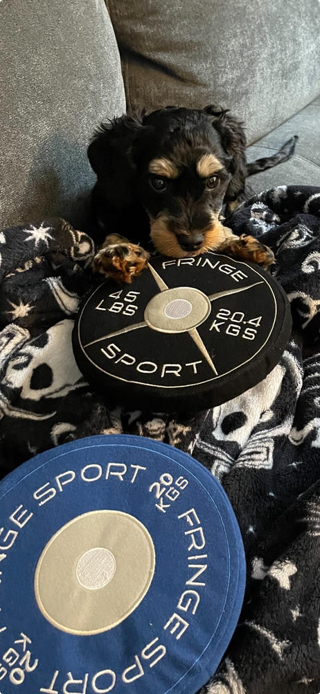 Weight Plate Dog Chew Toy - Customer Photo From Rizik Mohammad