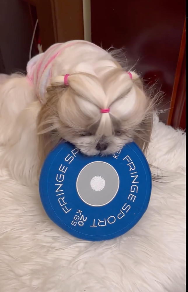 Weight Plate Dog Chew Toy - Customer Photo From George Hu