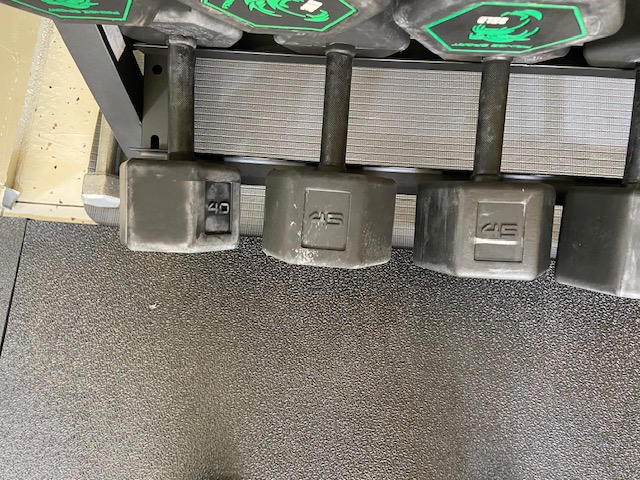 Silverback Rubber Coated Dumbbells - Customer Photo From Dave Norwood