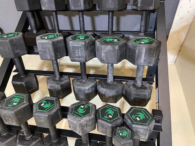 Silverback Rubber Coated Dumbbells - Customer Photo From Dave Norwood