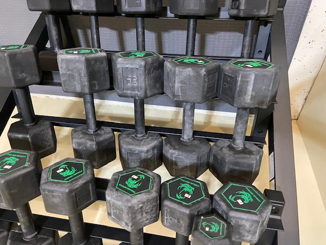 Silverback Rubber Coated Dumbbells - Customer Photo From Dave Norwood