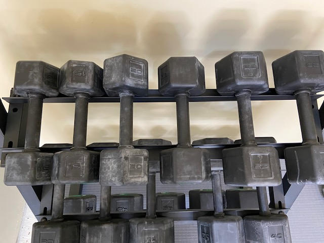Silverback Rubber Coated Dumbbells - Customer Photo From Dave Norwood