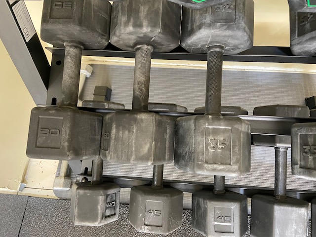 Silverback Rubber Coated Dumbbells - Customer Photo From Dave Norwood