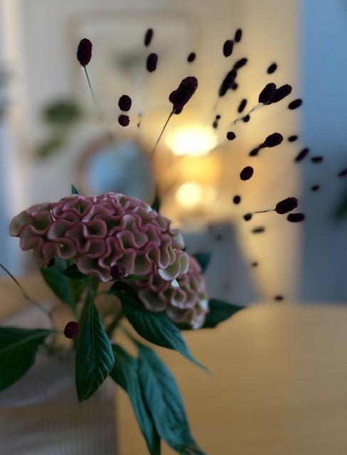 暮らし」×「花」 ガラス フラワーベース クリアグレー TRIANGLE 暮らし」×「花」 ガラス フラワーベース クリアグレー TRIANGLE