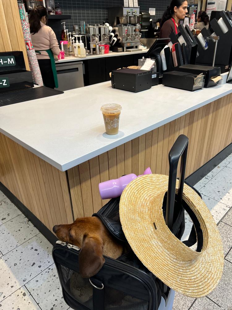 Joanna Visor - Honey - Customer Photo From Kells