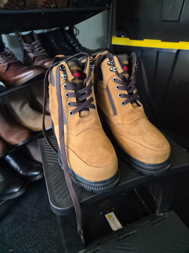 CFT VASCA Di LAVAGGIO Con ELEVATORE L945 Kosz Przyjęciowy Z Sitem Bębnowym Krotoszyn - Foto 3