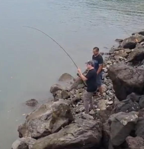 Hey Skipper Hybrid Travel Rod – Surf/Inshore 9’2” - Customer Photo From Hector Gil