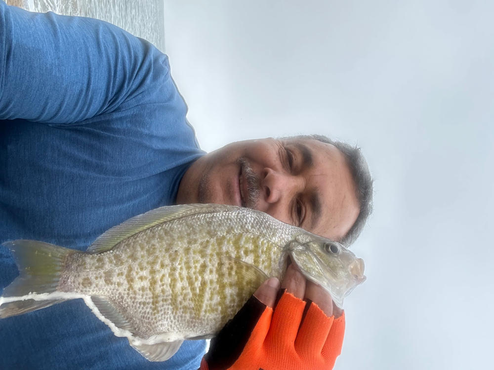 Hey Skipper Travel Fishing Rod- 9’2” JAPAN COLLECTION - Customer Photo From Anonymous