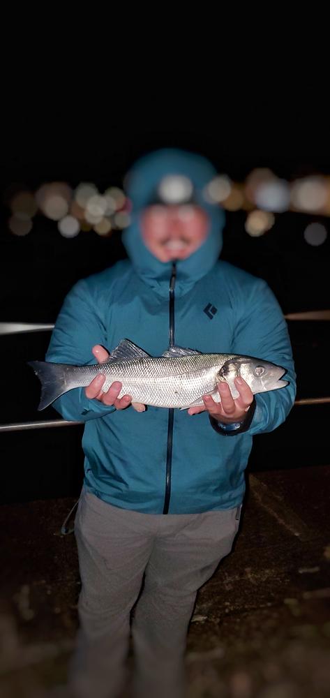 Hey Skipper Travel Fishing Rod- 9’2” JAPAN COLLECTION - Customer Photo From Jeremy