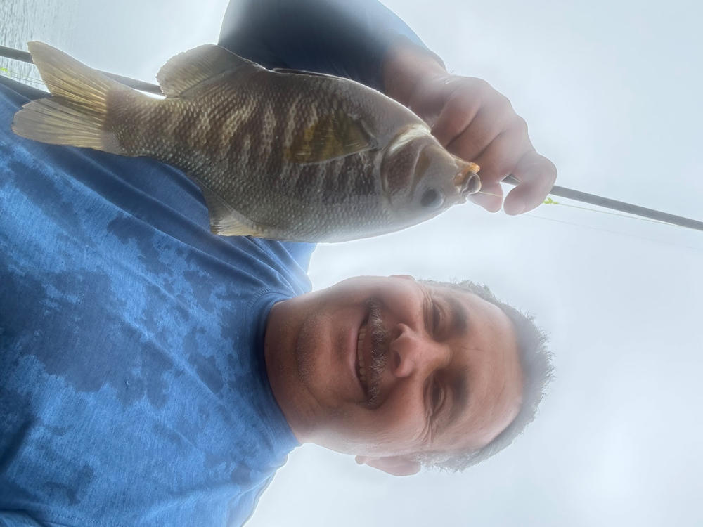 Hey Skipper Travel Fishing Rod- 9’2” JAPAN COLLECTION - Customer Photo From Anonymous