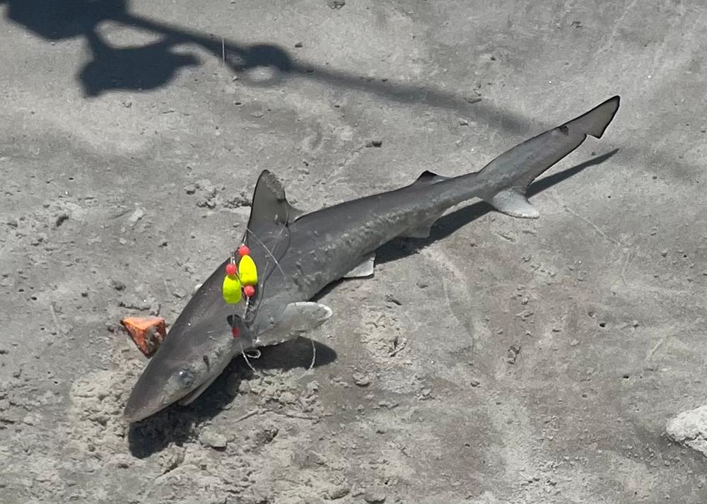 Pyramid Sinkers- Vibrant Orange- Beach Fishing Sinkers - Customer Photo From Edgar.G