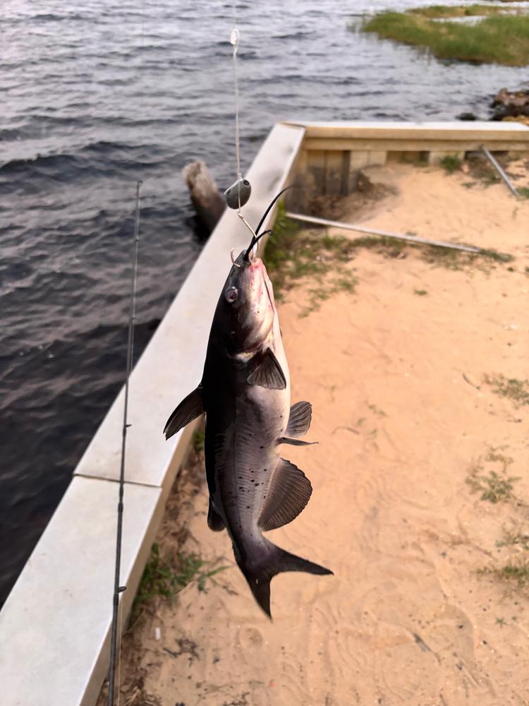 7’6” Inshore Travel Rod - Customer Photo From Melody Burgess