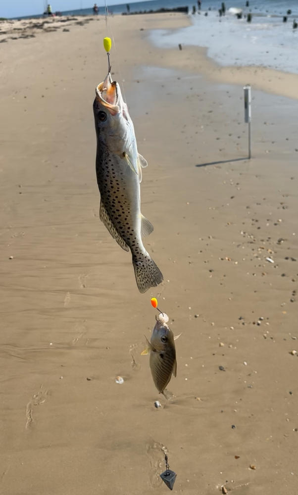 Catch All Fishing Rig (w/ Floats) -- Hi-Lo  / Bottom - Customer Photo From Austin Carey