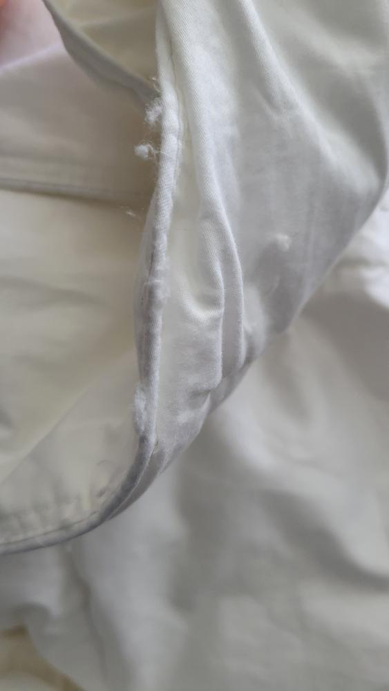 Carmanah Microgel Duvet - Customer Photo From Oksana