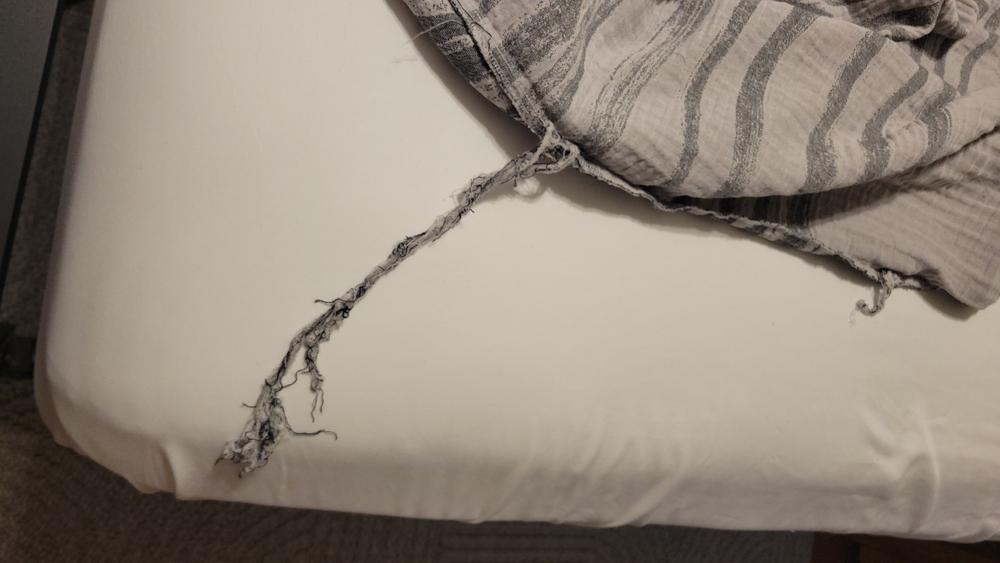 Cavalo Duvet Cover - Customer Photo From Sharon Potuer 