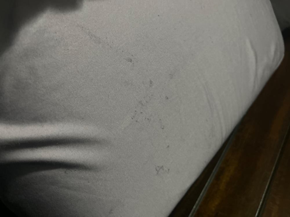 BeechBliss TENCEL™ Modal Sheet Set - Purple Haze - Customer Photo From laurel koenning