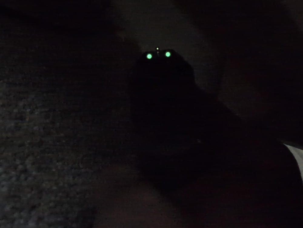 NIGHT FISION TRITIUM NIGHT SIGHTS FOR GLOCK - Customer Photo From Brent Atkinson