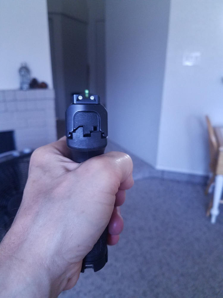 NIGHT FISION TRITIUM NIGHT SIGHTS FOR SMITH & WESSON - Customer Photo From DUANE MEDEIROS