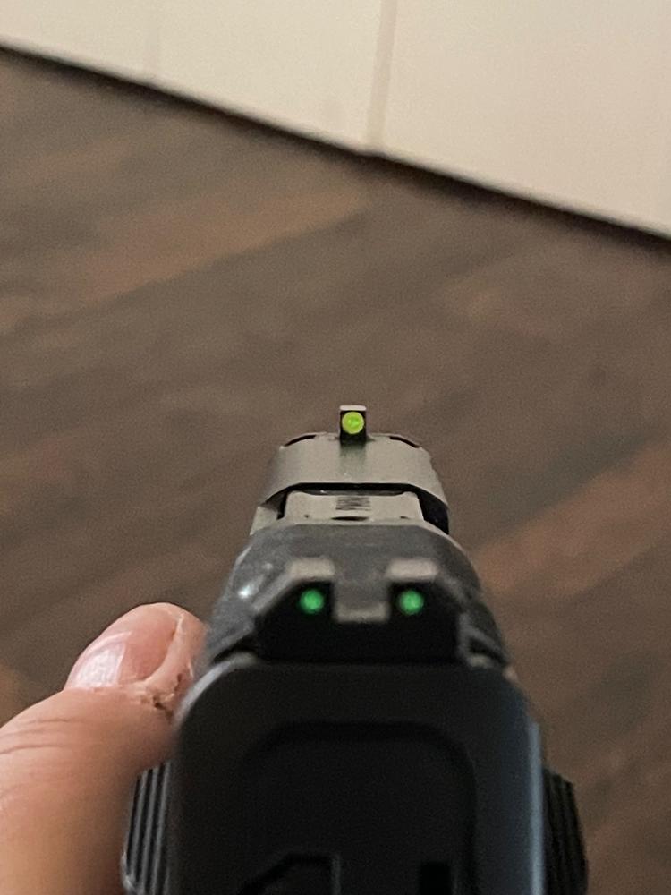 NIGHT FISION TRITIUM NIGHT SIGHTS FOR SMITH & WESSON - Customer Photo From Terry Barker