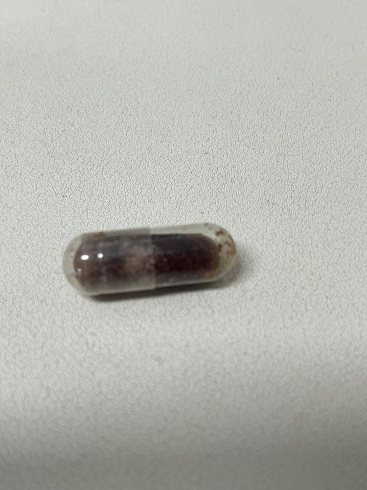 Memory Pro(메모리 프로) - Customer Photo From 메모리프로 1년째 